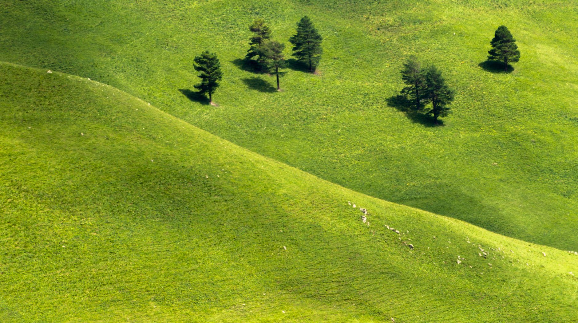 Vista aérea de colinas verdes con árboles dispersos